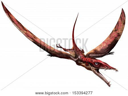 Eudimorphodon from the Triassic era 3D illustration