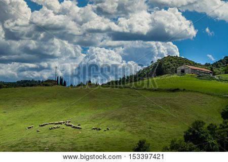 Querceto, Montecatini Val Di Cecina, Pisa - Italy