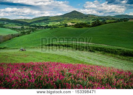 Querceto, Montecatini Val Di Cecina, Pisa - Italy