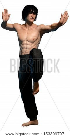 Kung fu martial artist standing 3D illustration