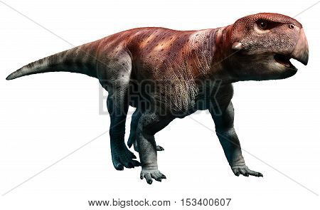 Psittacosaurus from the Cretaceous era 3D illustration