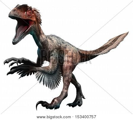Deinonychus from the Cretaceous era 3D illustration