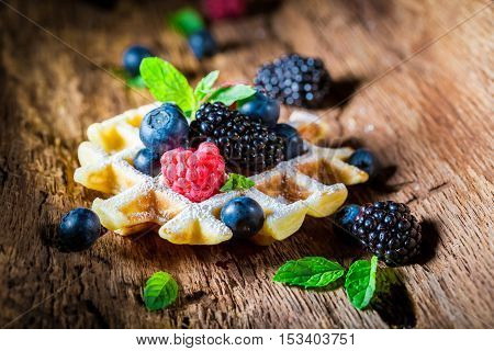Fresh Berry Fruits With Waffels On Wooden Bark