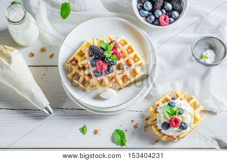 Tasty Waffels With Berry Fruits For Breakfast