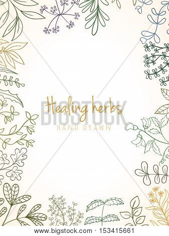 Hand drawn vintage background of medicinal organic healing herbs. Vector medical plants and herbal botanical flowerelements can be used for banner template, card, flyer, banner, sale, website