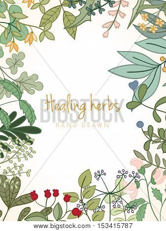 Hand drawn vintage background of medicinal organic healing herbs. Vector medical plants and herbal botanical flowerelements can be used for banner template, card, flyer, banner, sale, website