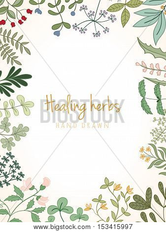 Hand drawn vintage background of medicinal organic healing herbs. Vector medical plants and herbal botanical flowerelements can be used for banner template, card, flyer, banner, sale, website