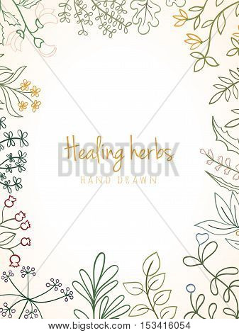 Hand drawn vintage background of medicinal organic healing herbs. Vector medical plants and herbal botanical flowerelements can be used for banner template, card, flyer, banner, sale, website