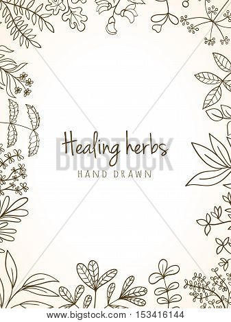 Hand drawn vintage background of medicinal organic healing herbs. Vector medical plants and herbal botanical flowerelements can be used for banner template, card, flyer, banner, sale, website