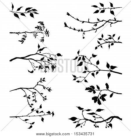 set of tree branches with leaves and berries, fruit trees twigs, isolated hand drawn vector elements