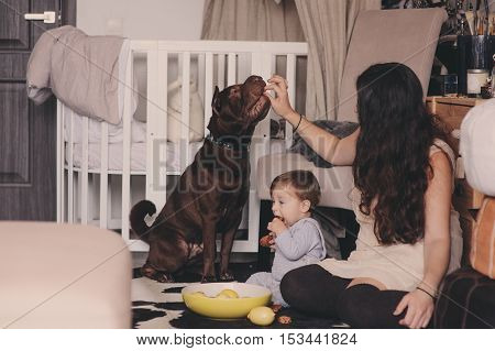 happy mother and baby son playing together at home with cute shar pei dog. Cozy indoor lifestyle scene