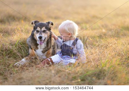 Happy Little Toddler Girl Petting Her German Shepherd Mix Breed Dog Outside