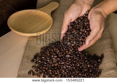 Coffee beans in hands hemp sack on wood table