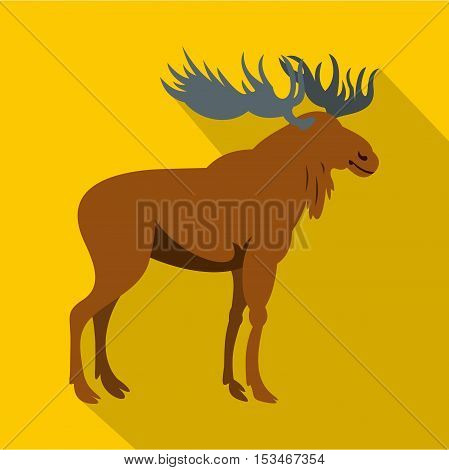 Moose icon. Flat illustration of moose icon for web