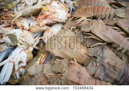 Fresh slipper lobster at market and crab.