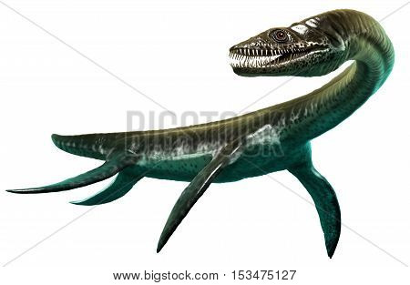 Plesiosaurus from the  Jurassic era 3D illustration