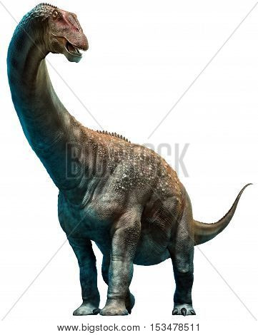 Diamantinasaurus from the Cretaceous era 3D illustration