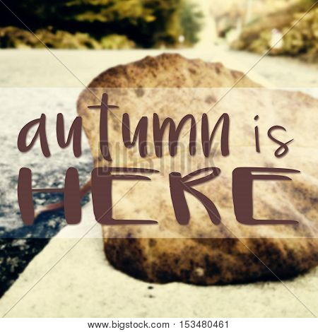 Autumn Is Here Typographic Quote
