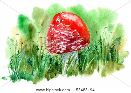 Postcard with amanita mushroom. Forest botanical picture. Watercolor hand drawn illustration.