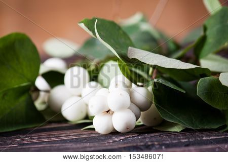 White snowberries on wooden background. Nature background