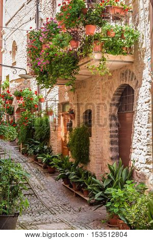 Full of flower streer in small town Italy Umbria