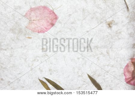 White mulberry paper with pink petal texture background