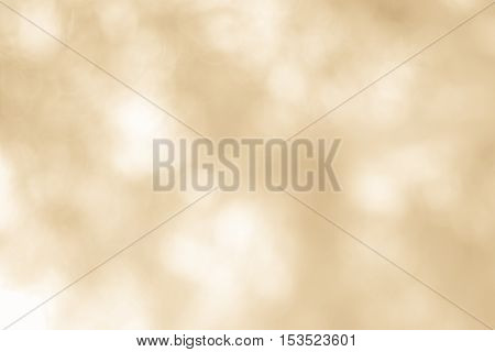 Blurred nature background.Backdrop with color and bright sun light. Summer holidays concept.bokeh background or Christmas background.Green Energy.