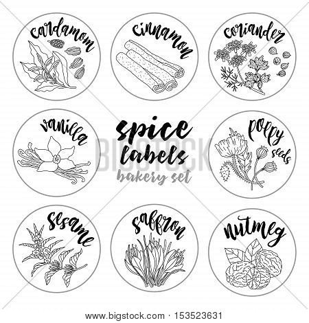 Spices and herbs jar labels and stickers. Contour vector condiment bakery set with cardamom, coriander, cinnamon, vanilla, poppy seed, sesame, nutmeg, saffron. Botanical illustrations