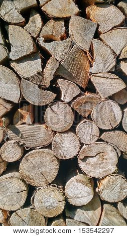 A closeup of wood logs texture as background