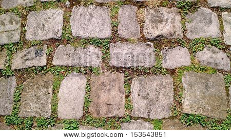 Old cobblestone footpath with grass growing in between