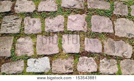 Old cobblestone footpath with grass growing in between