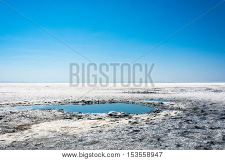 Exotic Salty Mud Of The Lake Elton.