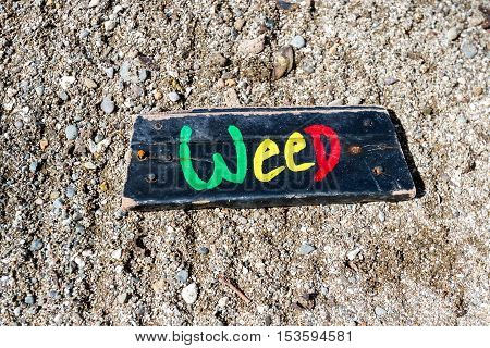 Weed On The Beach