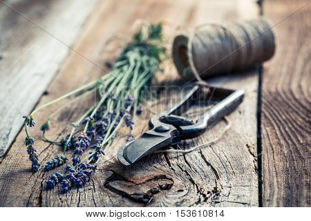Closeup of lavender on old wooden table