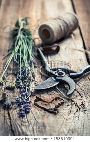Closeup of aromatic lavender on old wooden table