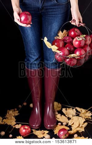 Autumn season concept. The girl in blue jeans and rubber boots (the color Marsala) holding a basket of apples.