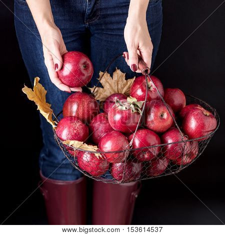 Autumn season concept. The girl in blue jeans and rubber boots (the color Marsala) holding a basket of apples.