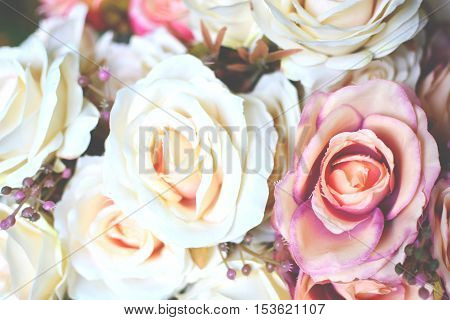 white and pink flowers vintage,focus on flowers and blurred background.