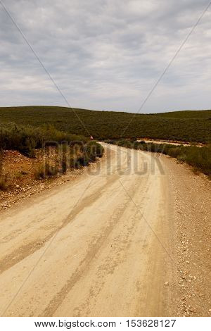 Dirt Road With Grass On The Sides With The Mountains Ahead