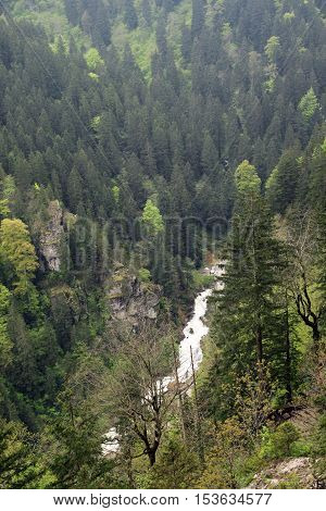 Ayder Plateau with an elevation of 1350m along the Black Sea in Turkey