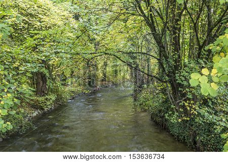 Beautiful River Wuerm With Green Trees In Munich