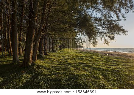 LABUAN ISLAND , MALAYSIA - OCTOBER 23,2016: Nature green scenery while waiting the sunset at Pohon Batu seaside.