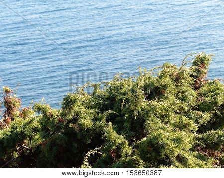 Summer day view of the bay Black sea