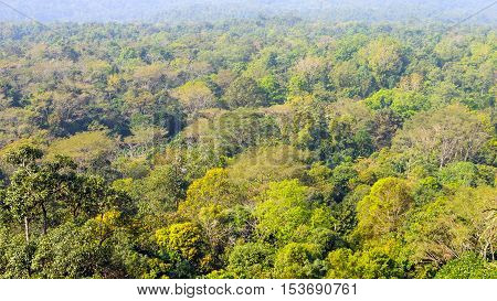 Landscape of high view beautiful green rainforest background