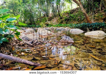 Small mountain stream with large yellow stones on the bottom. Khao Sok National Park Surat Thani Province Thailand. Selective Focus on the branch and leaves at the water in the foreground.
