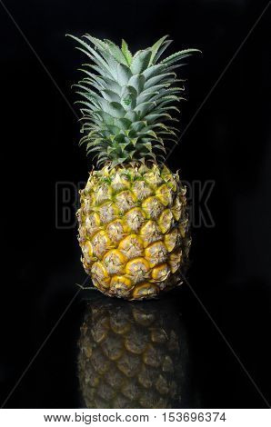 Sweet Pineapple on Black background - Single Object