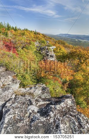 Fall foliage colors the cliff edge at Bear Rocks in the Dolly Sods Wilderness in the Allegheny Mountains of West Virginia.
