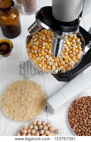 corn in petri dish for analysis in laboratory with microscope wooden background no one close up
