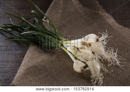 Green garlic on rustic canvas on a wooden canvas. Studio photo