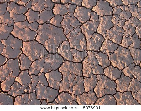 Dettaglio del terriccio asciutto terra